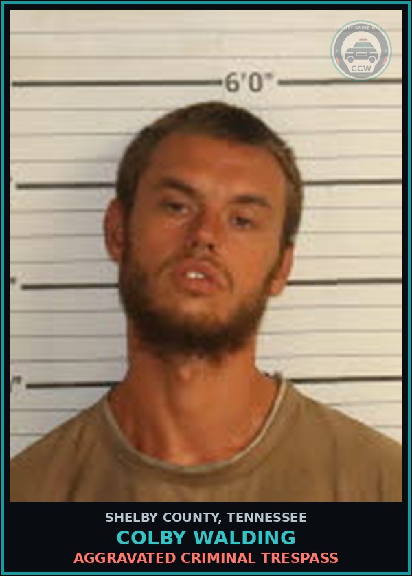 Booking mugshot of COLBY WALDING in Shelby County