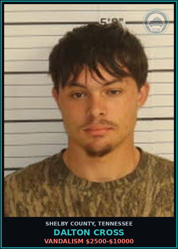 Booking mugshot of DALTON CROSS in Shelby County