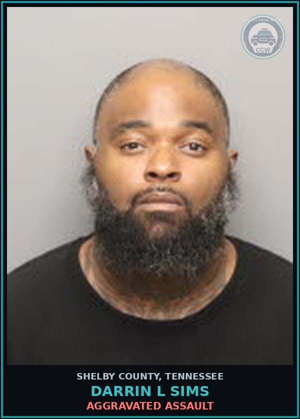 Booking mugshot of DARRIN L SIMS in Shelby County