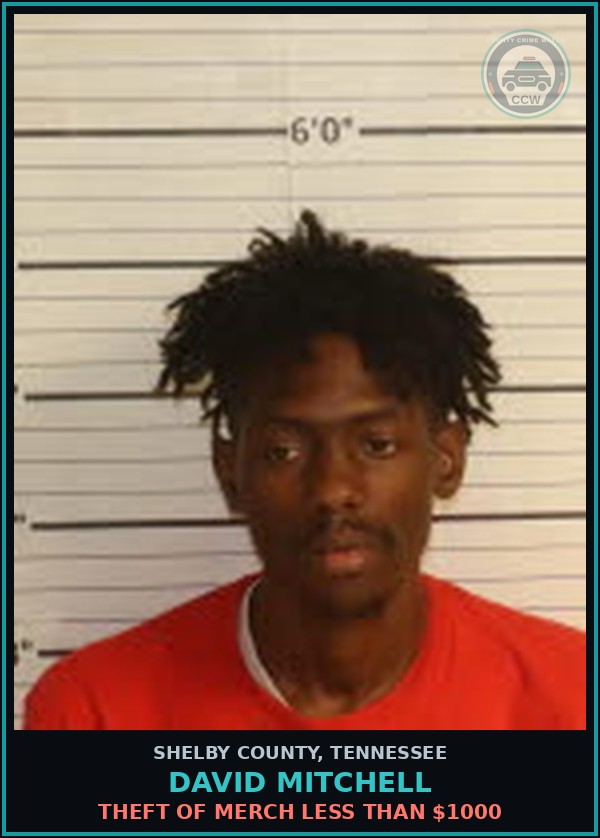 Booking mugshot of DAVID MITCHELL in Shelby County