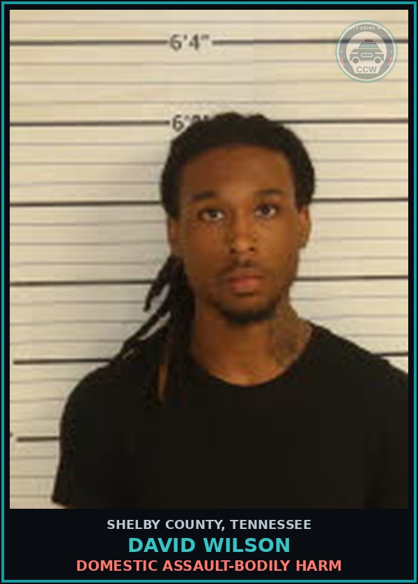 Booking mugshot of DAVID WILSON in Shelby County