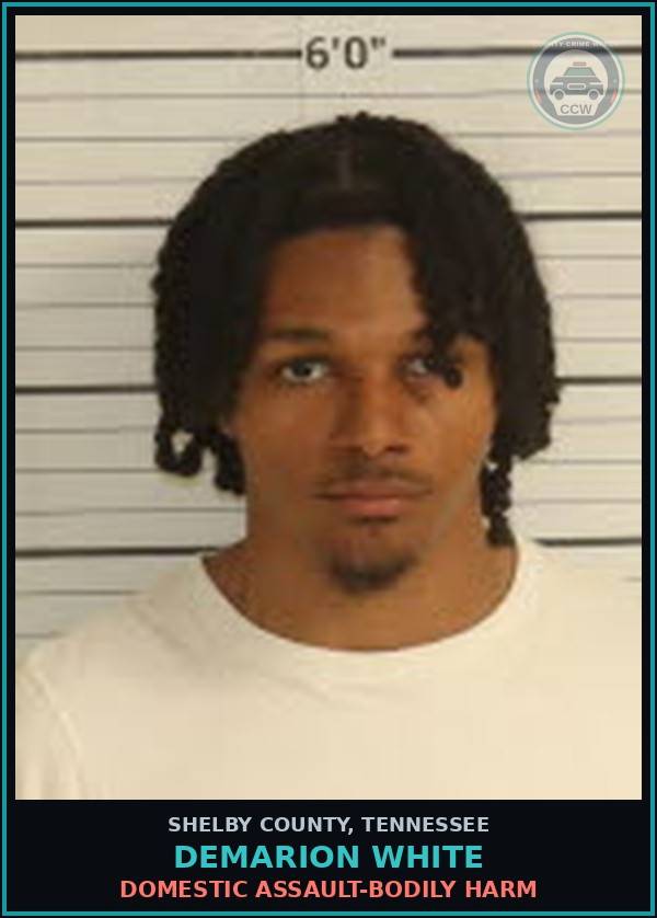 Booking mugshot of DEMARION WHITE in Shelby County
