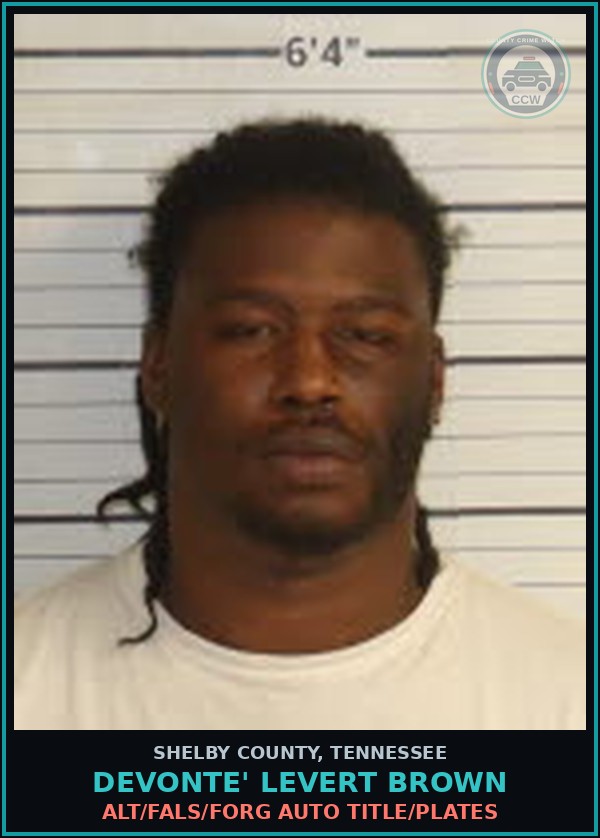 Booking mugshot of DEVONTE' LEVERT BROWN in Shelby County