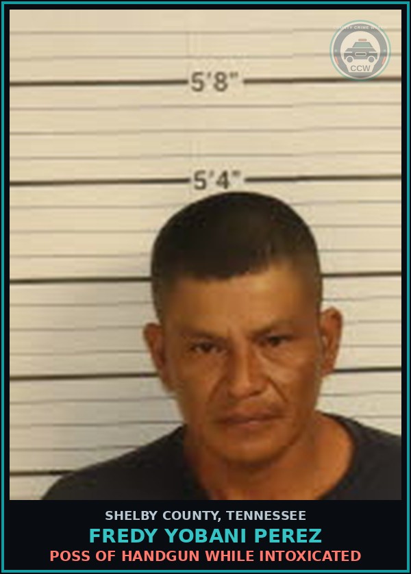 Booking mugshot of FREDY YOBANI PEREZ in Shelby County
