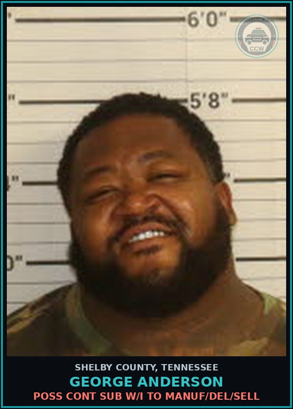 Booking mugshot of GEORGE ANDERSON in Shelby County
