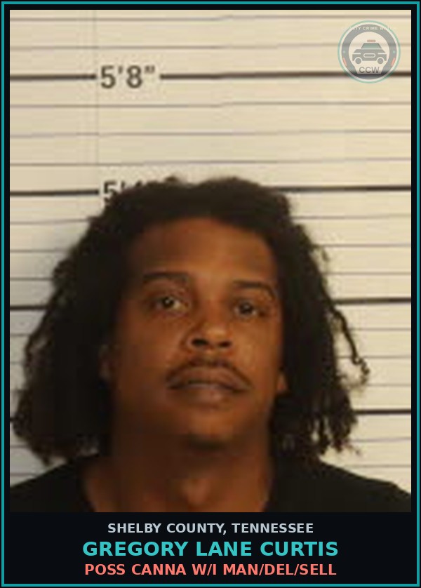 Booking mugshot of GREGORY LANE CURTIS in Shelby County