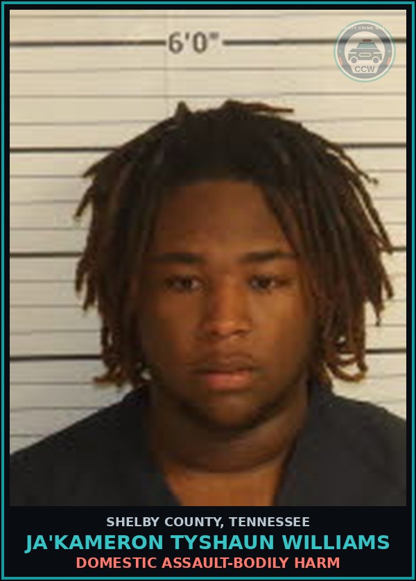 Booking mugshot of JA'KAMERON TYSHAUN WILLIAMS in Shelby County