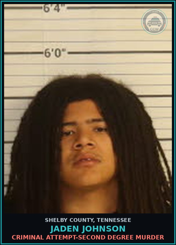Booking mugshot of JADEN JOHNSON in Shelby County