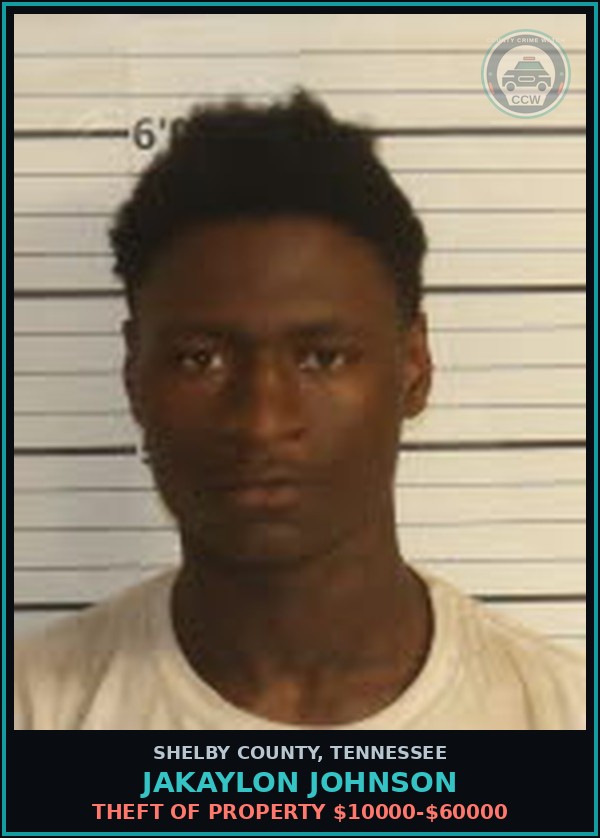 Booking mugshot of JAKAYLON JOHNSON in Shelby County
