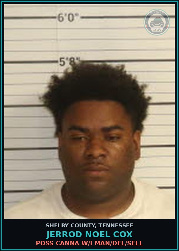 Booking mugshot of JERROD NOEL COX in Shelby County