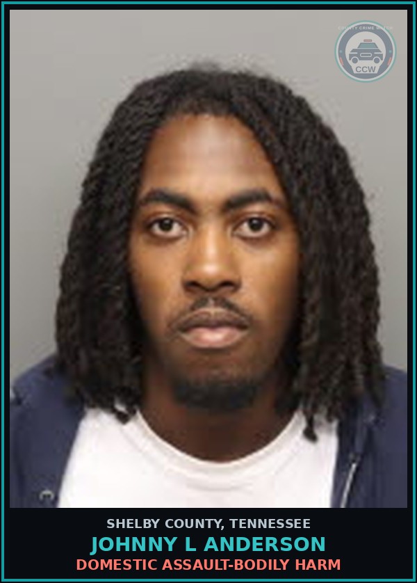 Booking mugshot of JOHNNY L ANDERSON in Shelby County