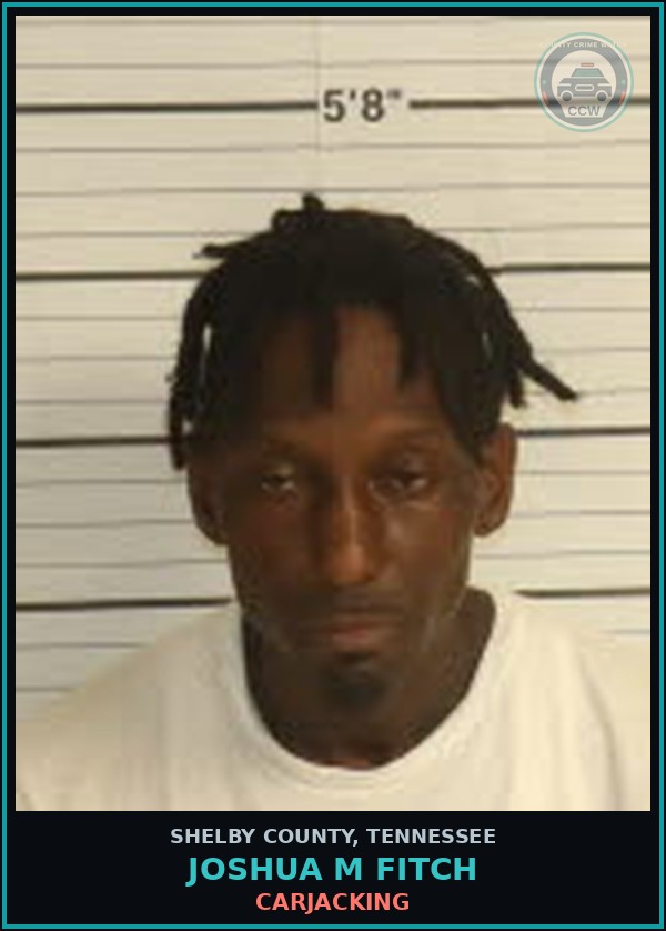 Booking mugshot of JOSHUA M FITCH in Shelby County