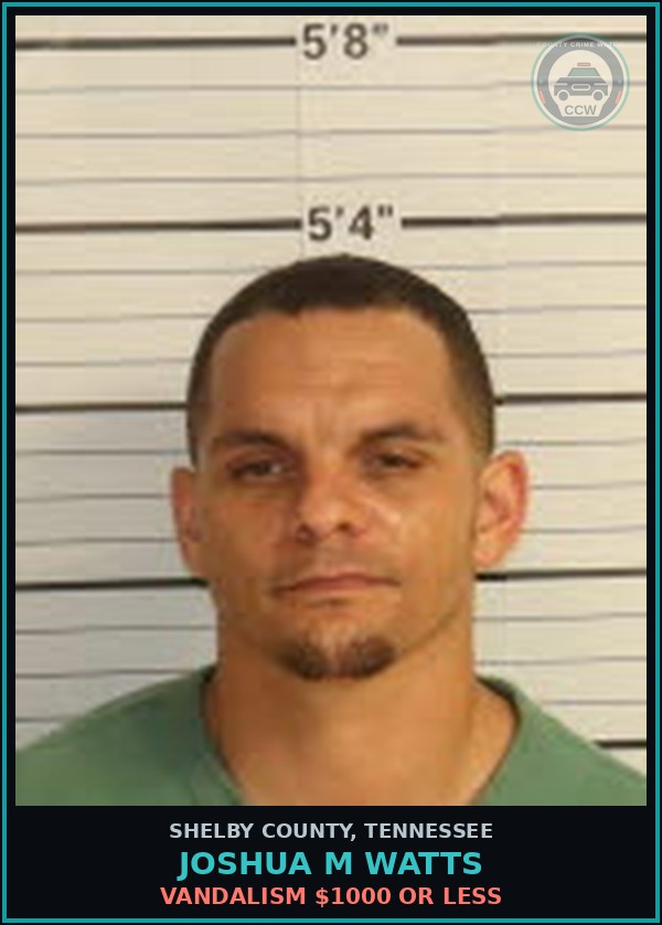 Booking mugshot of JOSHUA M WATTS in Shelby County