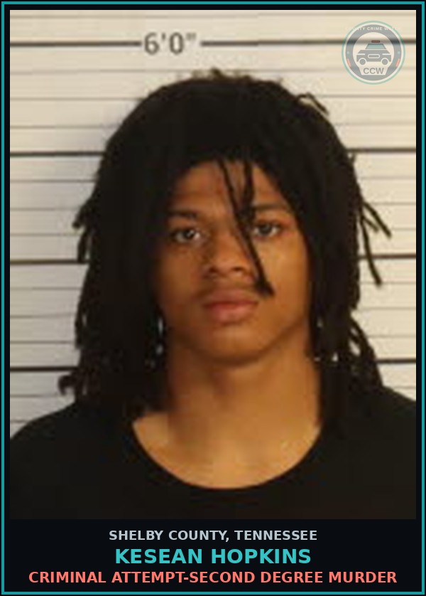 Booking mugshot of KESEAN HOPKINS in Shelby County