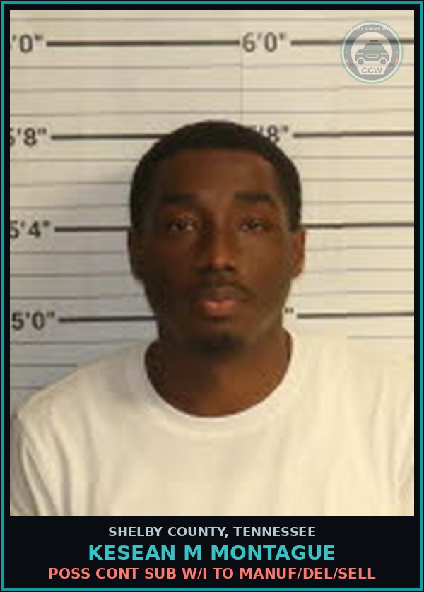 Booking mugshot of KESEAN M MONTAGUE in Shelby County