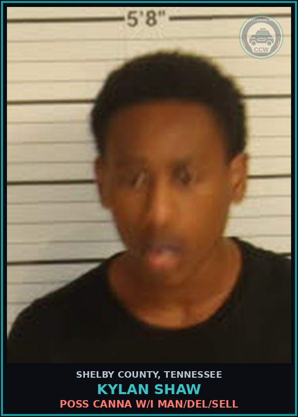 Booking mugshot of KYLAN SHAW in Shelby County