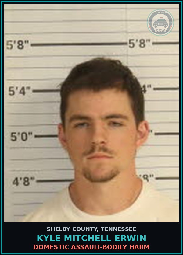 Booking mugshot of KYLE MITCHELL ERWIN in Shelby County
