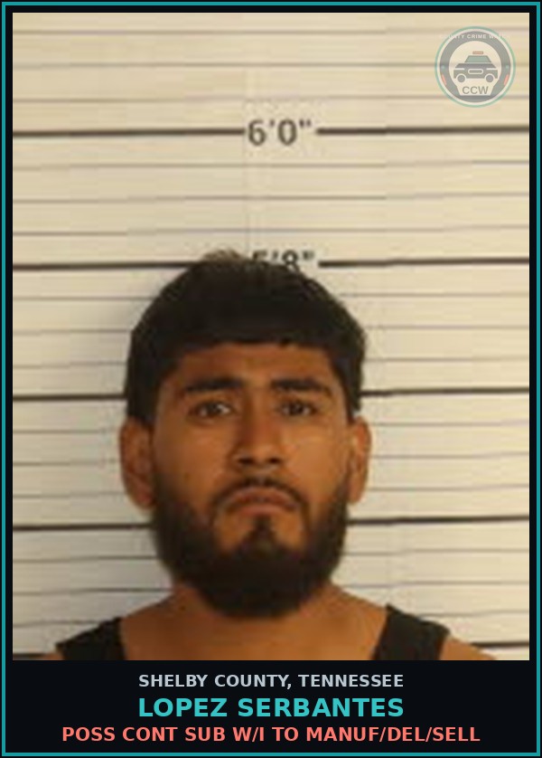 Booking mugshot of LOPEZ SERBANTES in Shelby County