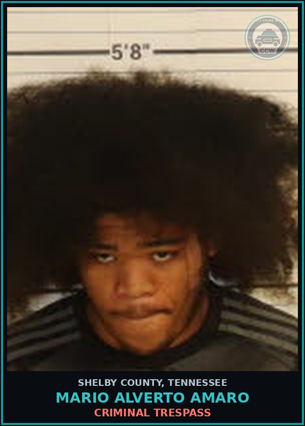 Booking mugshot of MARIO ALVERTO AMARO in Shelby County