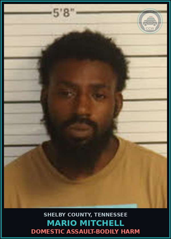 Booking mugshot of MARIO MITCHELL in Shelby County