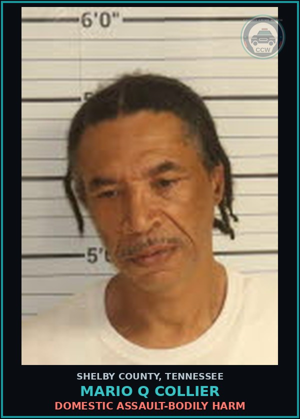 Booking mugshot of MARIO Q COLLIER in Shelby County