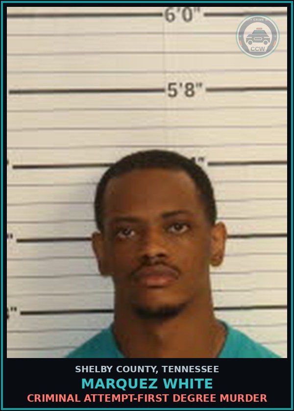 Booking mugshot of MARQUEZ WHITE in Shelby County