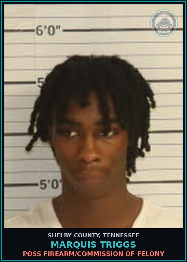 Booking mugshot of MARQUIS TRIGGS in Shelby County