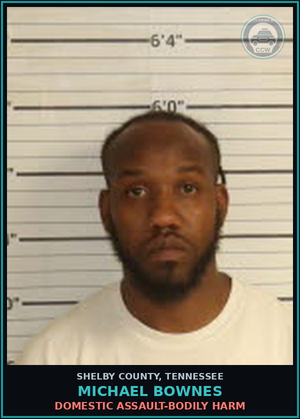 Booking mugshot of MICHAEL BOWNES in Shelby County