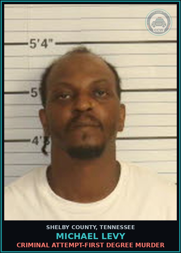 Booking mugshot of MICHAEL LEVY in Shelby County
