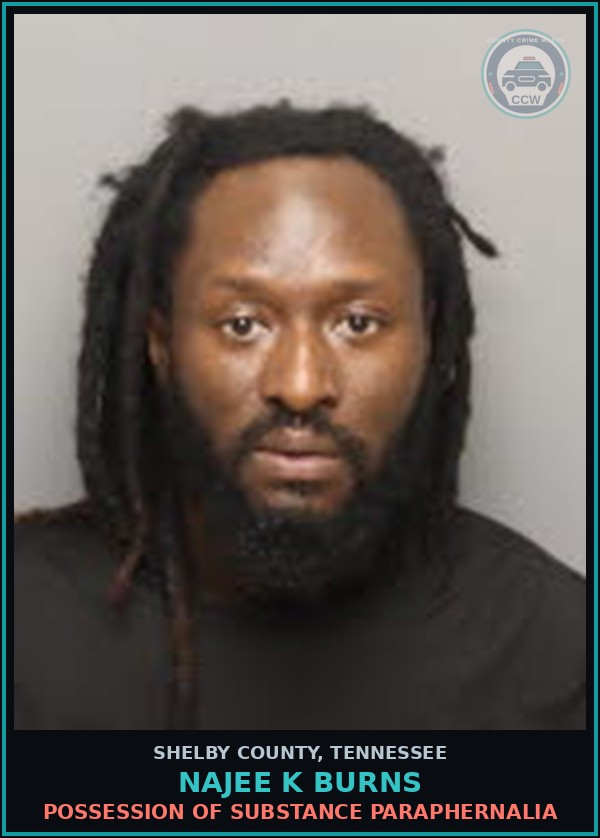Booking mugshot of NAJEE K BURNS in Shelby County