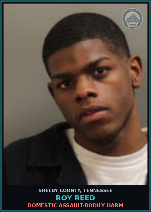 Booking mugshot of ROY REED in Shelby County