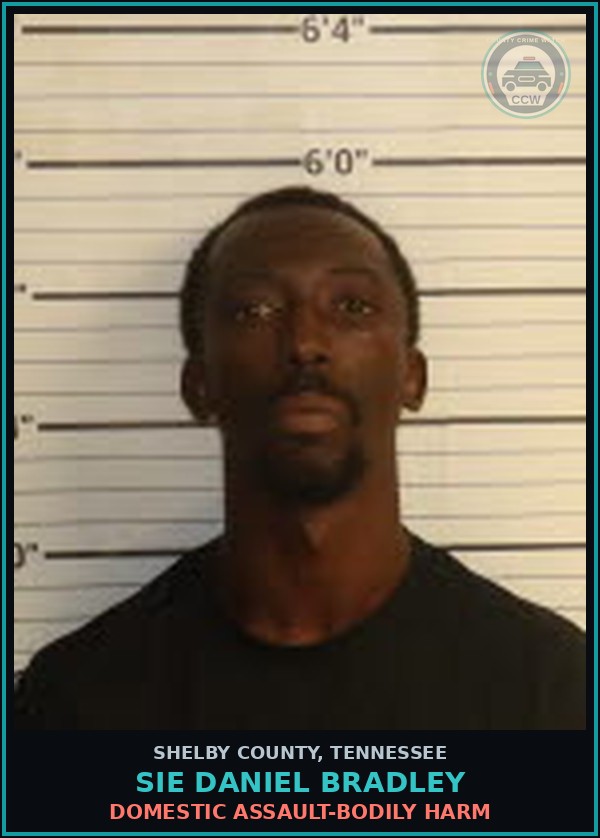 Booking mugshot of SIE DANIEL BRADLEY in Shelby County
