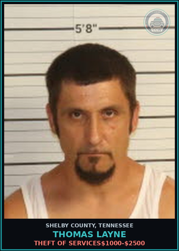 Booking mugshot of THOMAS LAYNE in Shelby County