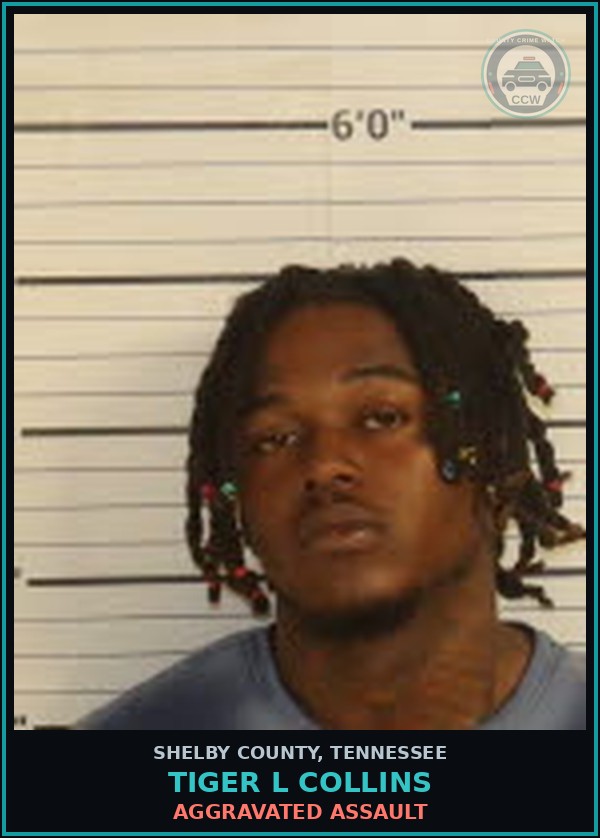Booking mugshot of TIGER L COLLINS in Shelby County