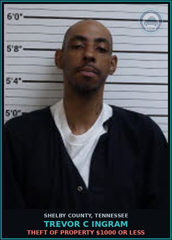 Booking mugshot of TREVOR C INGRAM in Shelby County