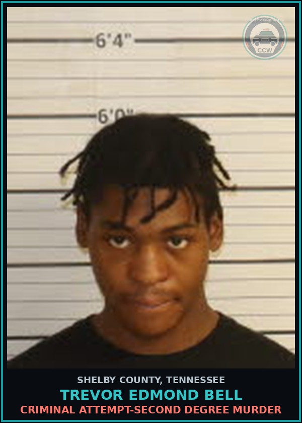 Booking mugshot of TREVOR EDMOND BELL in Shelby County