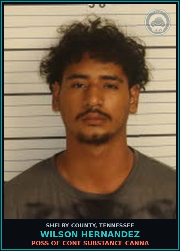 Booking mugshot of WILSON HERNANDEZ in Shelby County