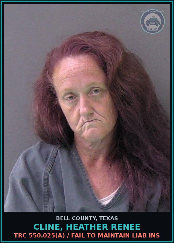 Booking mugshot of CLINE, HEATHER RENEE in Bell County