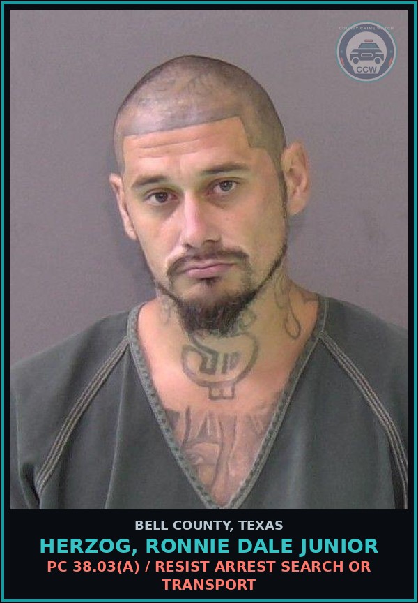 Booking mugshot of HERZOG, RONNIE DALE JUNIOR in Bell County