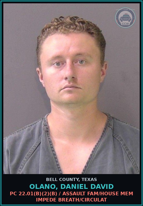 Booking mugshot of OLANO, DANIEL DAVID in Bell County