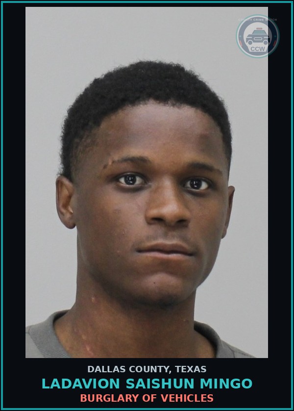 Booking mugshot of LADAVION SAISHUN MINGO in Dallas County