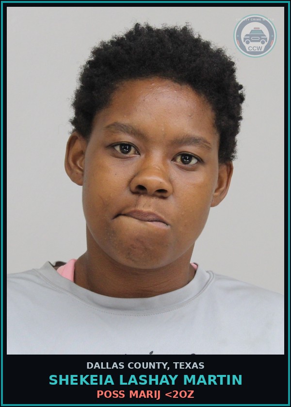 Booking mugshot of SHEKEIA LASHAY MARTIN in Dallas County