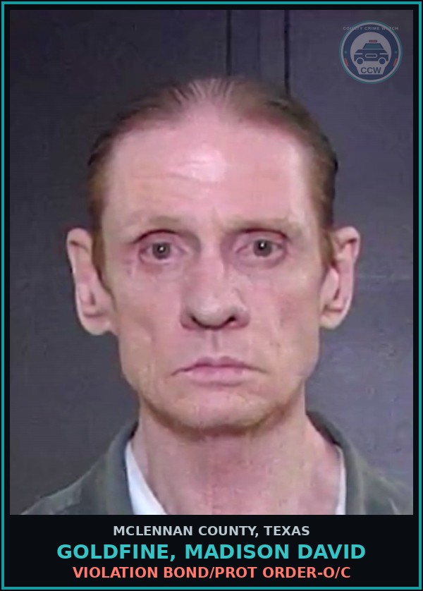 Booking mugshot of GOLDFINE, MADISON DAVID in McLennan County