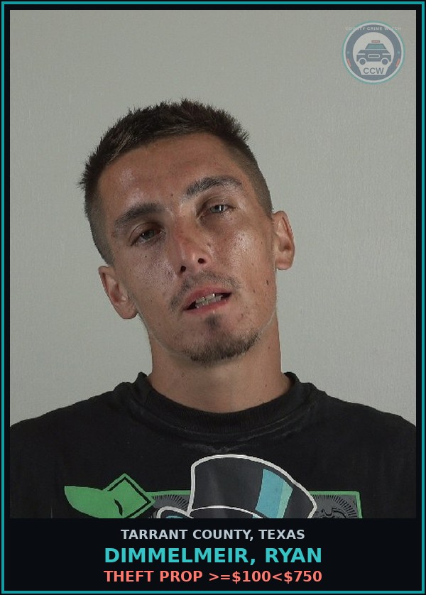 Booking mugshot of Dimmelmeir, Ryan in Tarrant County