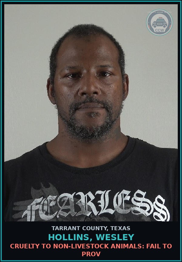 Booking mugshot of Hollins, Wesley in Tarrant County