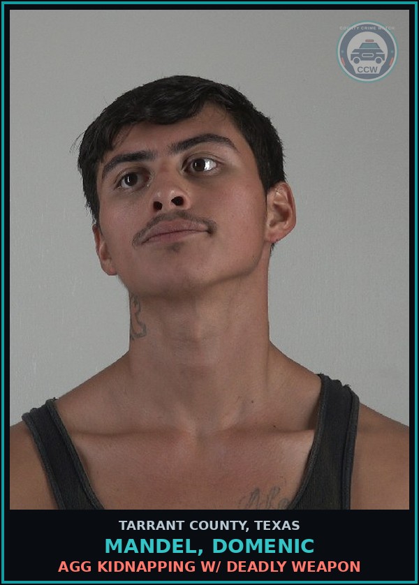 Booking mugshot of Mandel, Domenic in Tarrant County