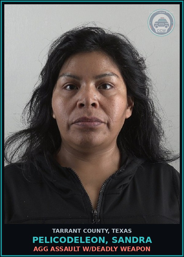 Booking mugshot of Pelicodeleon, Sandra in Tarrant County