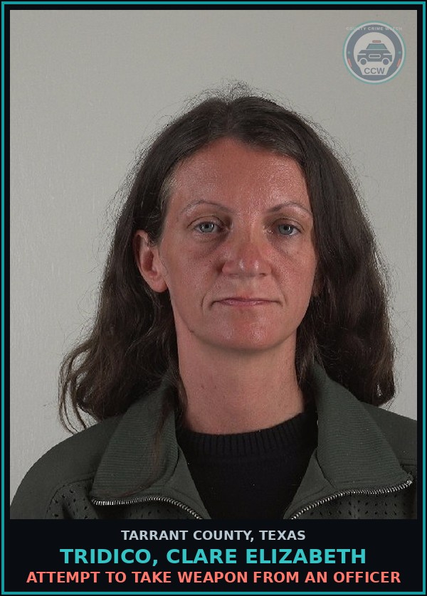 Booking mugshot of Tridico, Clare Elizabeth in Tarrant County