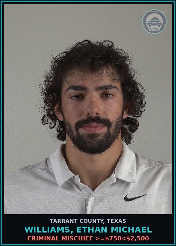 Booking mugshot of Williams, Ethan Michael in Tarrant County