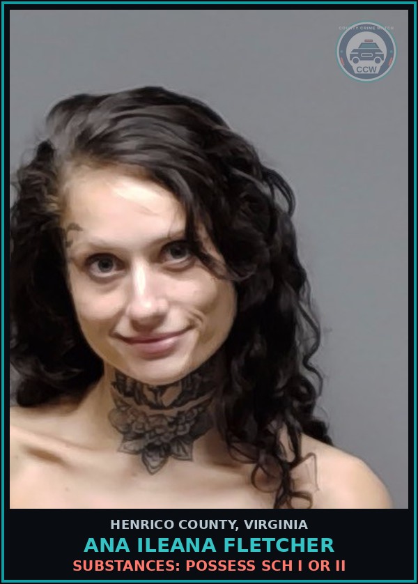 Booking mugshot of Ana Ileana Fletcher in Henrico County